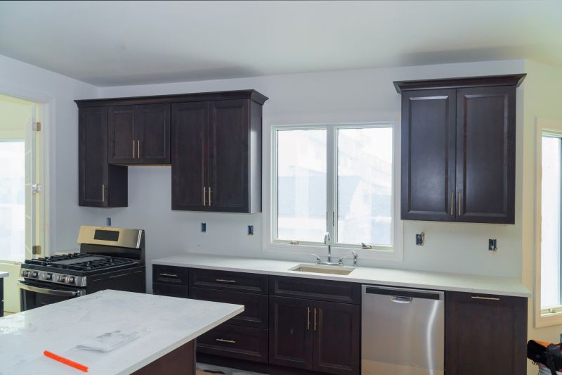 Built In Cabinetry Staining in Indianapolis, IN